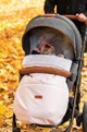 Зимний чехол для коляски Caretero Indiana Серый foto