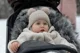 Зимний чехол для коляски Caretero Aspen Silver foto