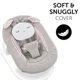 Balansoar 2 in 1 Hauck Alpha Bouncer Powder Bunny foto