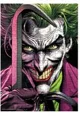 Puzzle Dodo Joker DC Easy-S Batman, 150 el. foto
