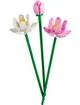 LEGO Botanicals - Цветы лотоса foto