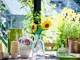 LEGO Botanicals - Floarea-soarelui foto