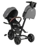 Трёхколёсный велосипед Qplay Comfo Max Grey foto