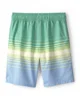 Carter's Pantaloni scurti de plaja Gardner Stripe Trunks foto