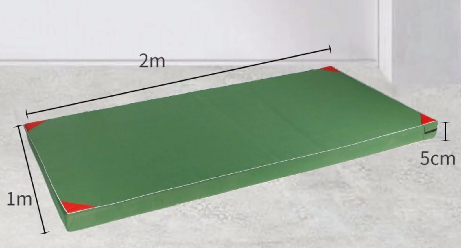 Mat sportiv 4Play AT100, 200x100x5 cm foto
