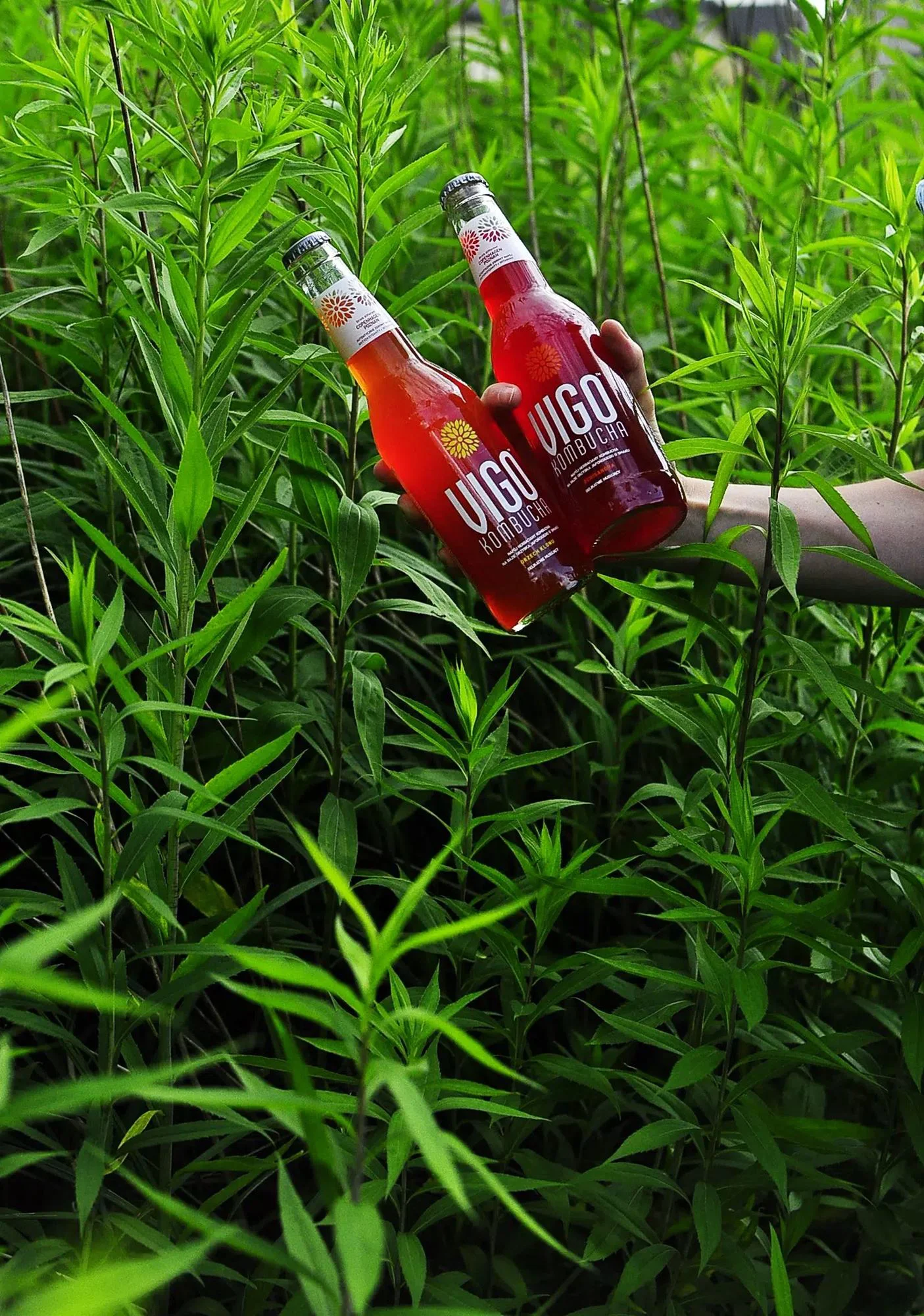 Bautura Bio Kombucha ViGO Acai, 330 ml foto