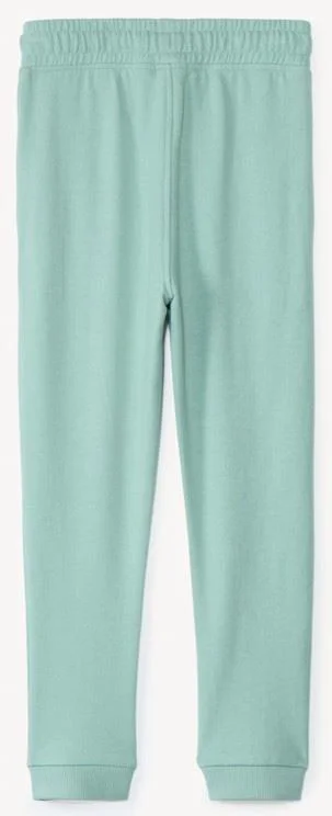 Orchestra Pantaloni de trening Green foto