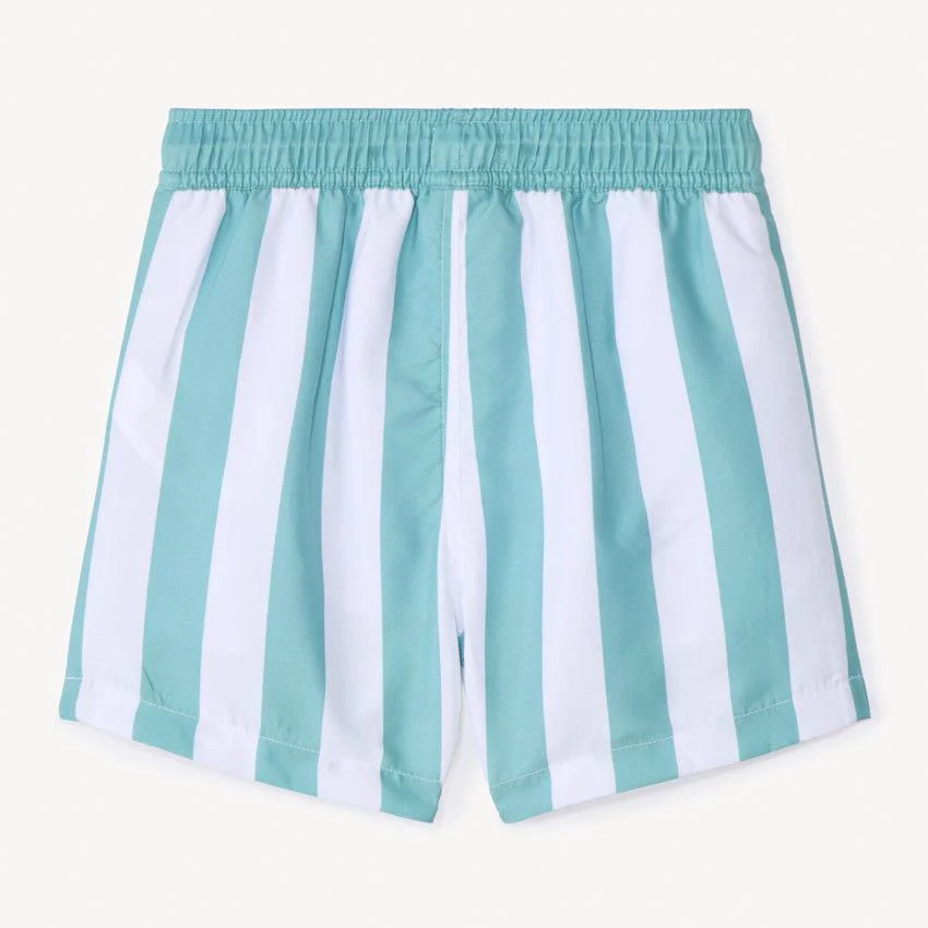 Orchestra Pantaloni scurti de plaja Stripe Trunks foto