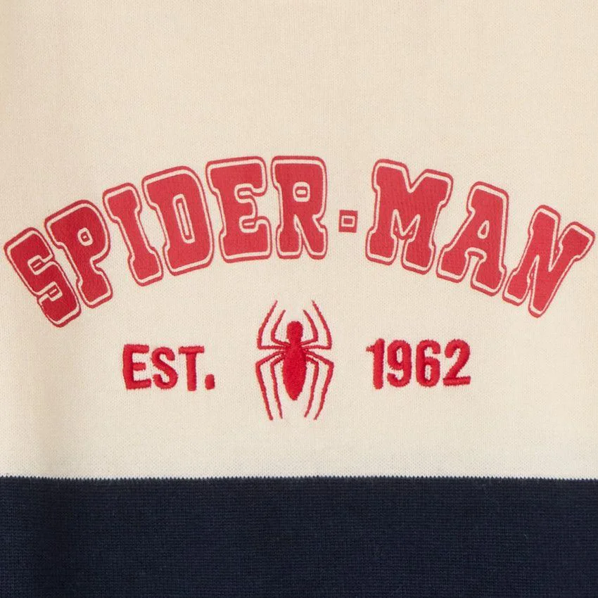 Orchestra Pulover Spider-Man foto