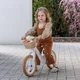 Bicicleta fara pedale Adamex Pixie cu cos, Verde foto