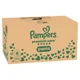 Chilotei Pampers Premium Care Pants 4 XXL Box (9-15 kg), 94 buc. foto