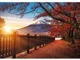 Puzzle Trefl Premium Plus Photo Odyssey: Mount Fuji, Japan, 1000 el. foto