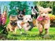 Puzzle Trefl Premium Plus Tea Time: Here Comes Trouble, 1000 el. foto