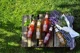 Bautura Bio Kombucha ViGO Acai, 330 ml foto