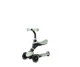 Trotineta 3 in 1  Qplay Sema Pro Green foto