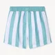 Orchestra Pantaloni scurti de plaja Stripe Trunks foto