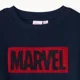 Orchestra Hanorac Marvel foto