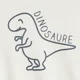 Orchestra Свитшот Dinosaur foto