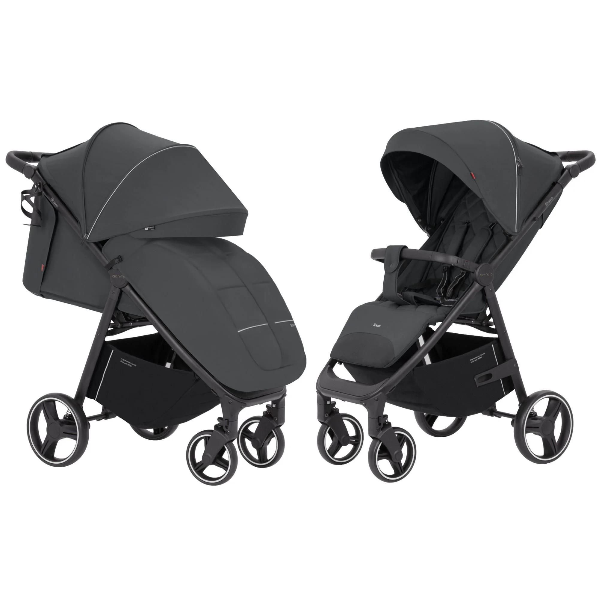 Прогулочная коляска Carrello Bravo 2025 Lunar Grey foto