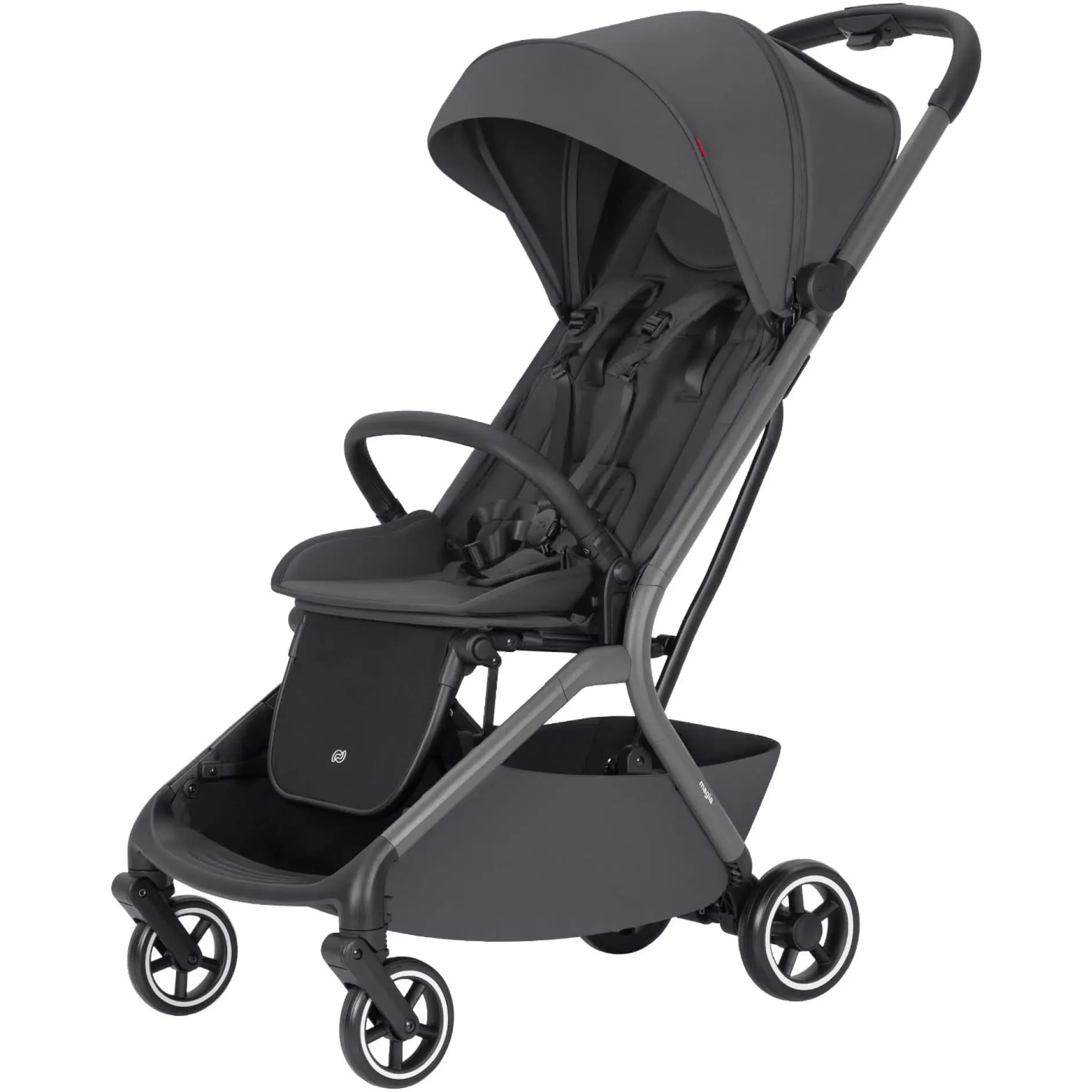 Коляска 2 в 1 Carrello Magia Elm Grey foto