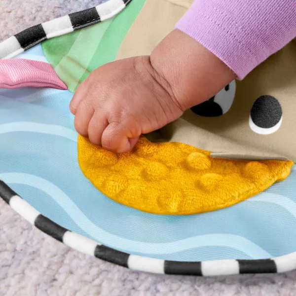 Perna pentru joaca pe burtica Fisher-Price cu jucarie si zornaitoare foto