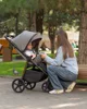 Прогулочная складная коляска Carrello Bravo Plus 2026 Midnight Green foto