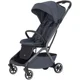 Прогулочная коляска Carrello Magia Elm Grey foto
