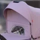 Коляска 2 в 1 Carrello Omega Plus Galaxy Pink foto