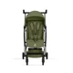 Carucior Cybex Libelle TPE Moss Green foto