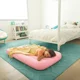 Надувной матрас Intex Velur Cozy Kidz, 88x1157x18 см, 3-10 лет, 2 цвета foto