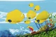 Piscina gonflabila Bestway "Lumea subacvatica", 262x157x46 cm, 544 L foto