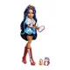 Игровой набор Monster High "Robecca Steam" с аксессуарами foto