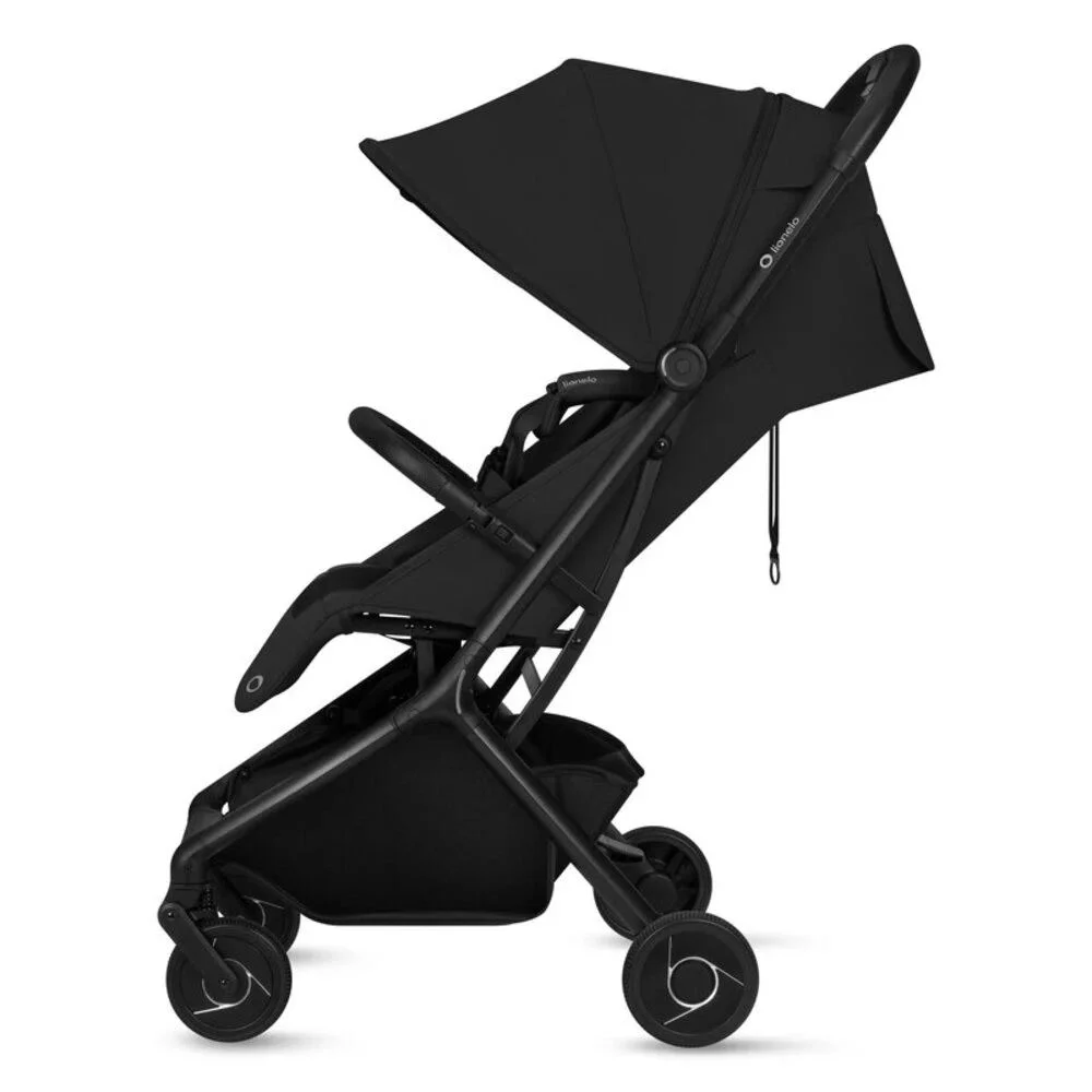 Коляска 2в1 Lionelo Sia Flex Black Onyx foto