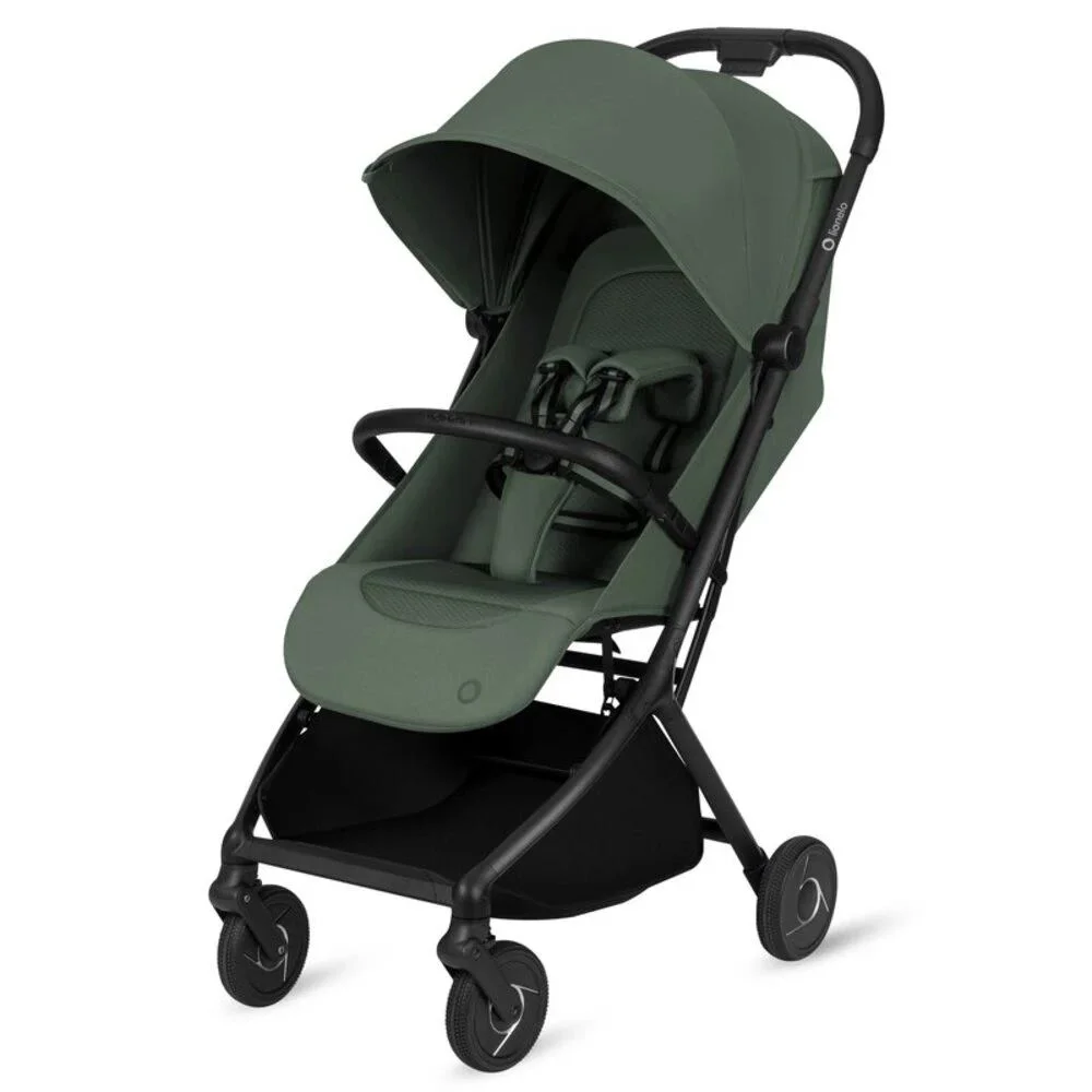 Коляска Lionelo Sia Flex 2 в 1 Green Emerald foto