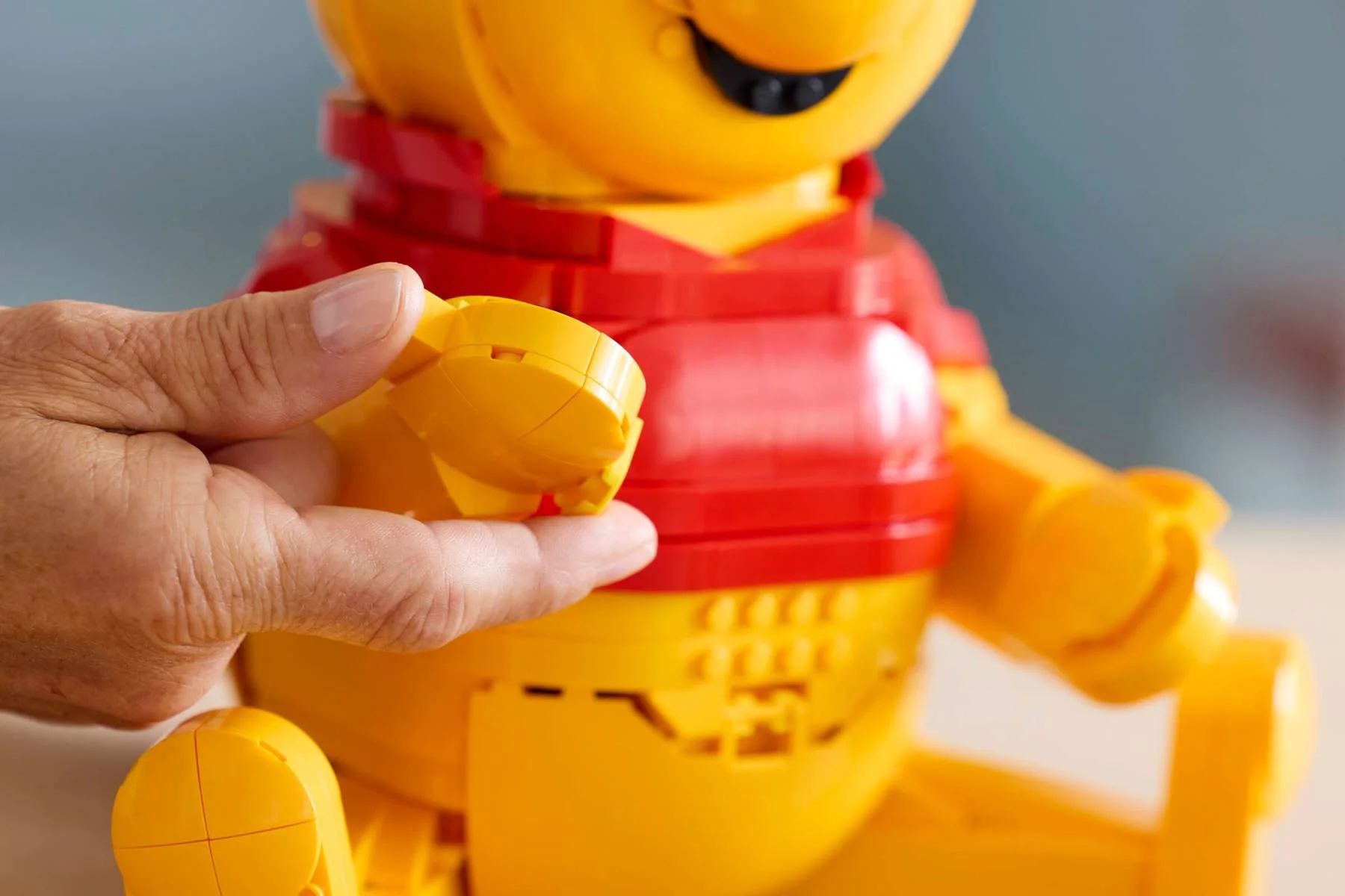 LEGO Disney - Winnie the Pooh foto
