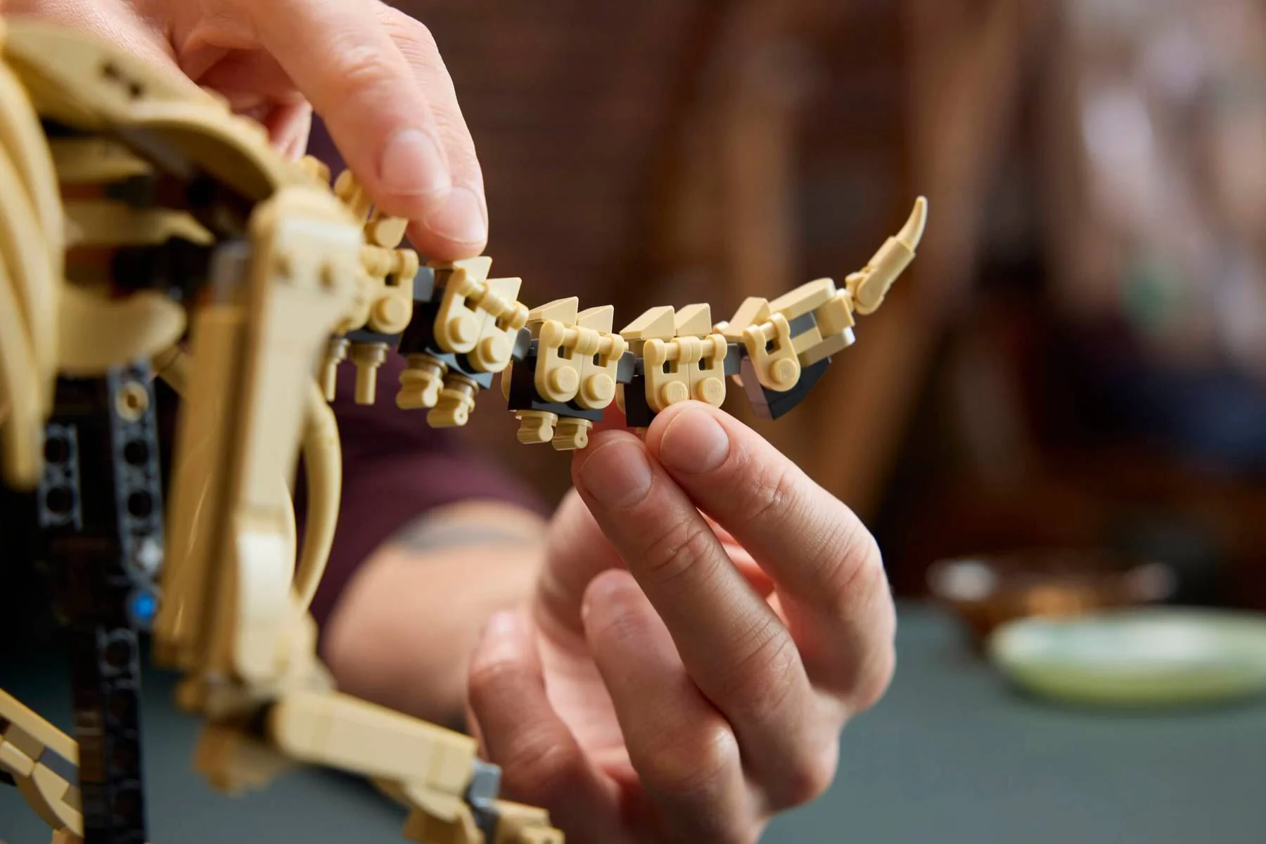 LEGO Jurassic World - Fosile de dinozaur: Triceratops foto