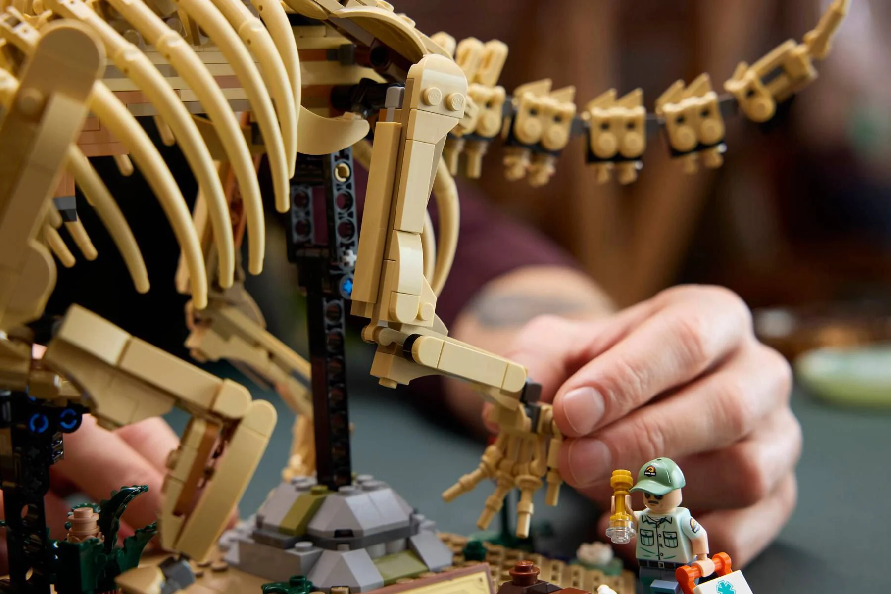 LEGO Jurassic World - Fosile de dinozaur: Triceratops foto