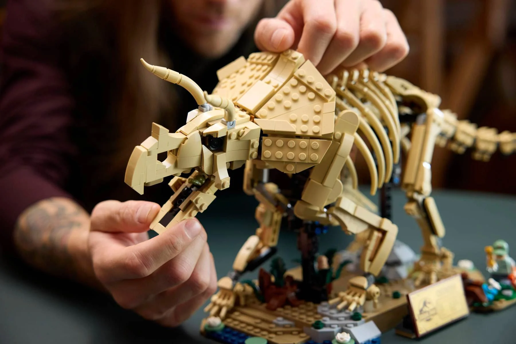 LEGO Jurassic World - Fosile de dinozaur: Triceratops foto