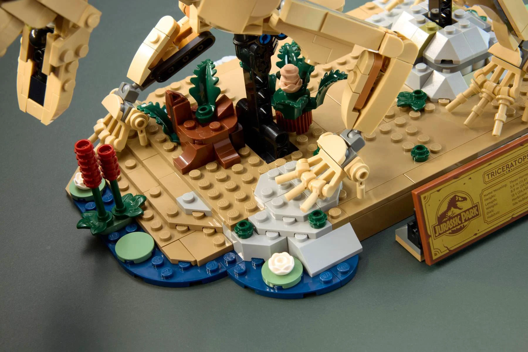 LEGO Jurassic World - Fosile de dinozaur: Triceratops foto