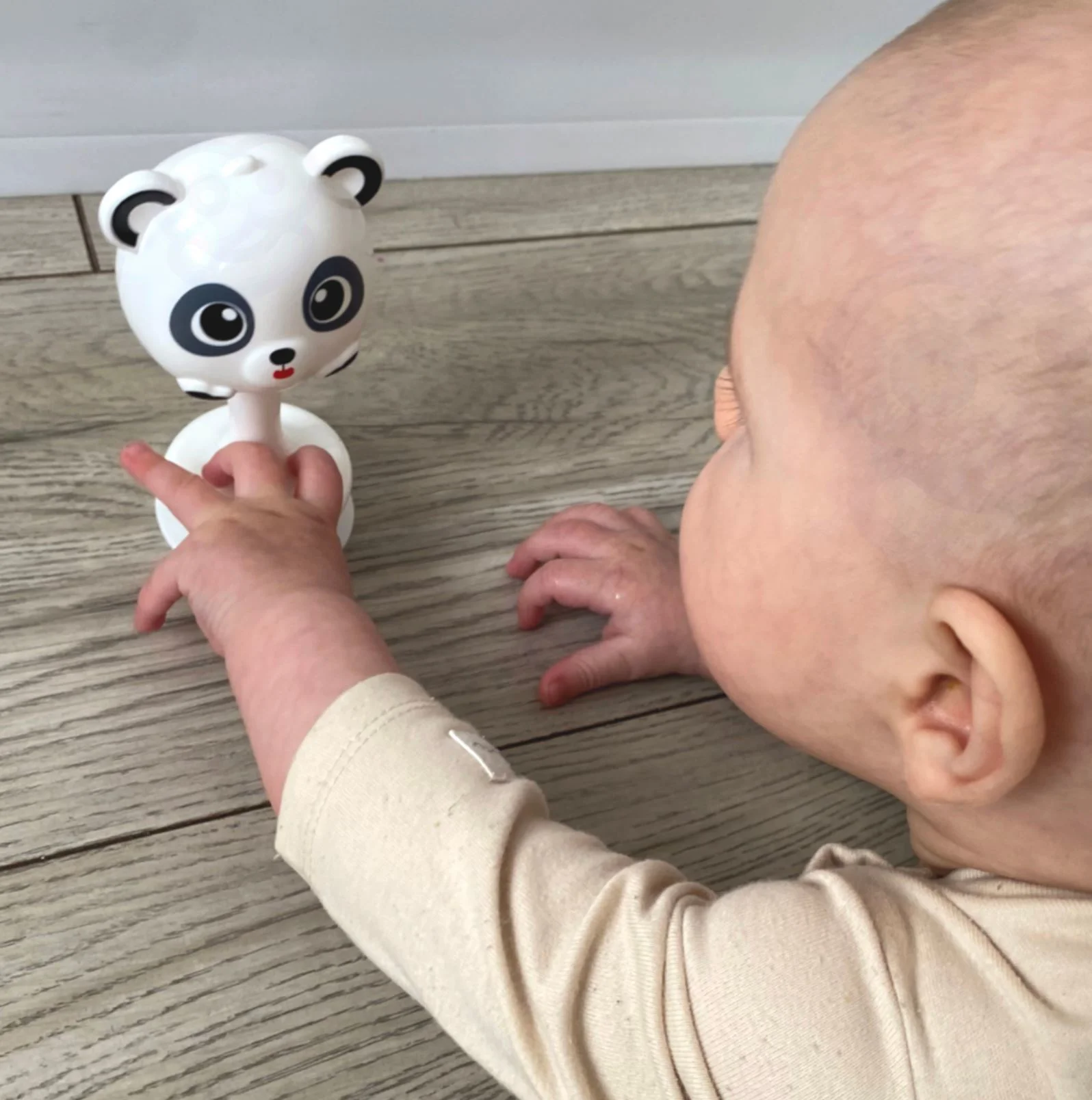 Jucarie cu ventuza Huanger Panda foto