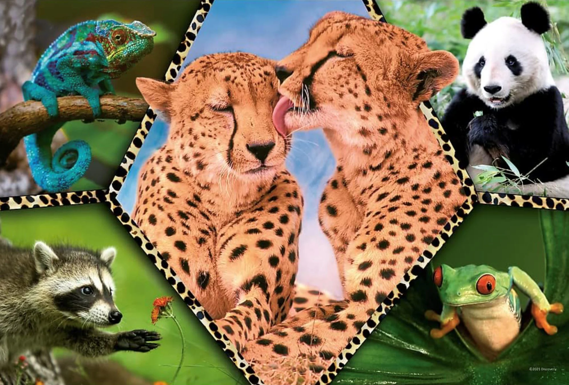 Puzzle Trefl Natura frumoasa, 100 el. foto