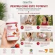 Supliment alimentar Essentials100 Liquid Iron, 500 ml foto