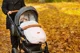 Зимний чехол для коляски Sensillo Indiana Grey 100x50 см foto