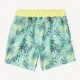 Orchestra Pantaloni scurti de plaja Tropical Trunks foto