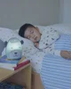 Портативный ночник Skip Hop Beary Cute foto