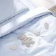 Lenjerie de pat pentru copii Perina Teddy Sateen Collection, Blue foto