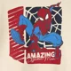 Orchestra Hanorac Spider-Man foto