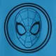 Orchestra Hanorac Spider-Man foto