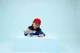 LEGO Creator - Rechin cu Cufar de Comori foto