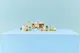 LEGO Friends - Animal Vet Clinic foto